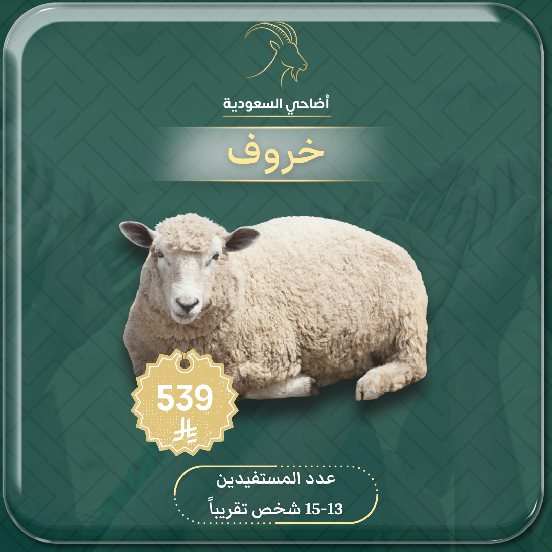 ذبيحة خروف (صدقة، عقيقة، أضحية) مع توثيق بالفيديو