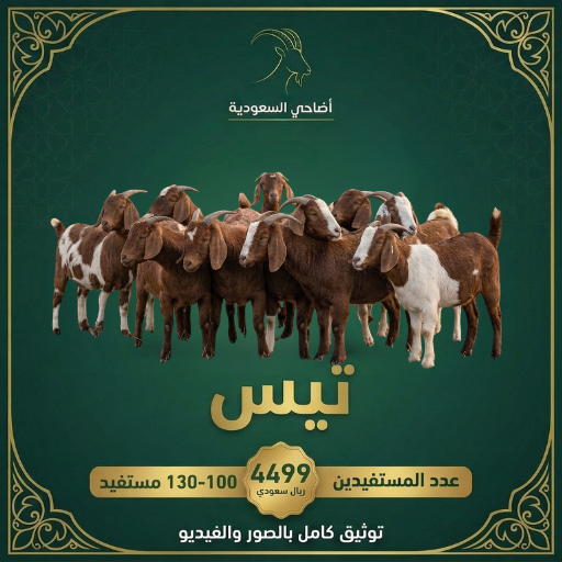 صدقة العشر الأواخر