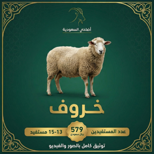 بكج عقيقة البنت (ذبيحة واحدة)