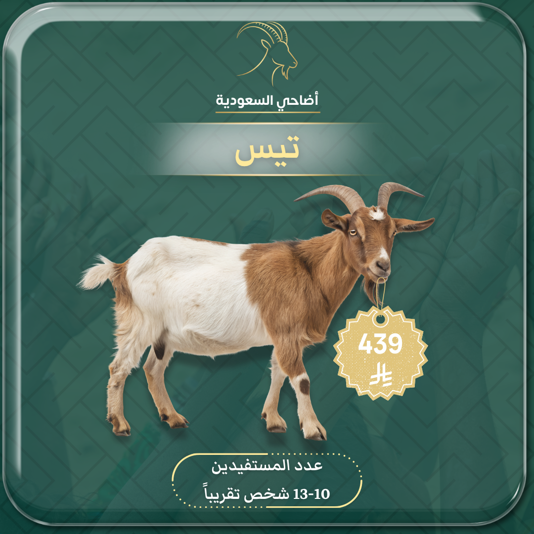 ذبيحة تيس (صدقة، عقيقة، أضحية) مع توثيق فيديو باسمك