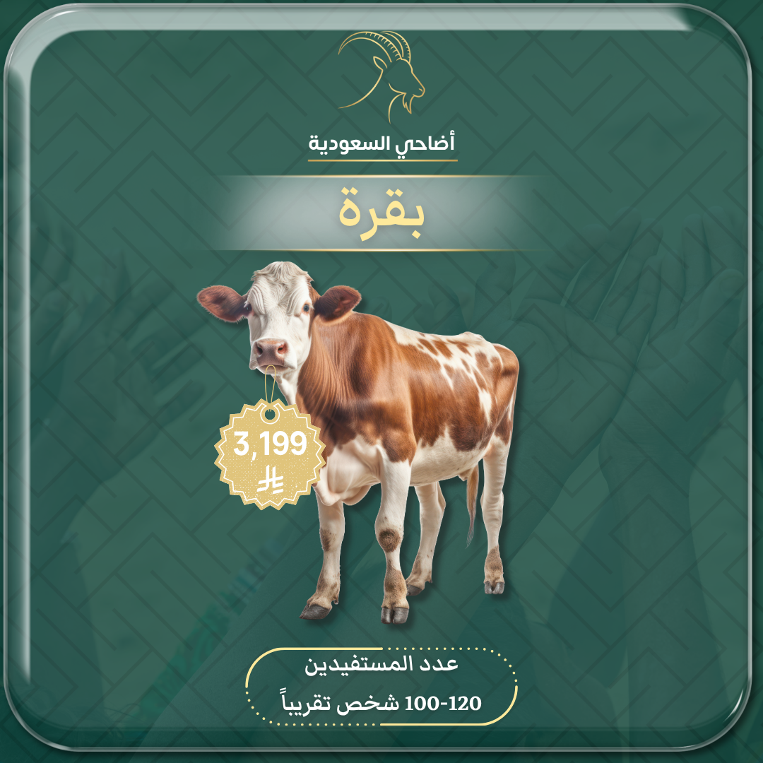 ذبيحة بقرة (صدقة، عقيقة، أضحية) مع توثيق فيديو باسمك