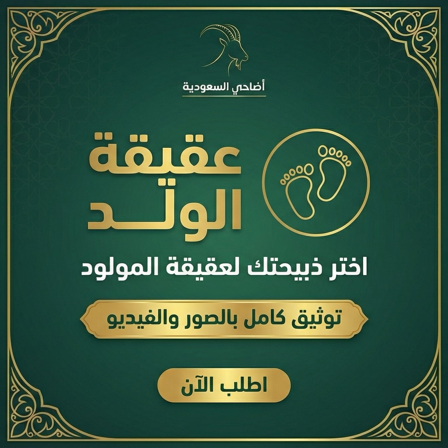 بكج عقيقة الولد (ذبيحتين)