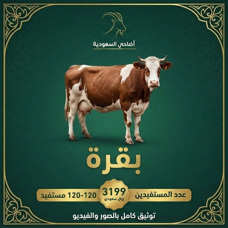 ثور / بقرة (صدقة، عقيقة، أضحية) مع توثيق فيديو باسمك