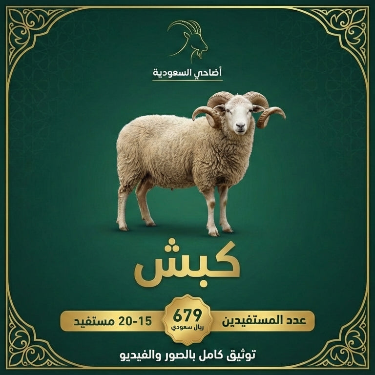 كبش (صدقة، عقيقة، أضحية) مع توثيق فيديو باسمك